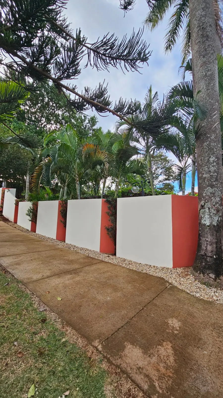 Paisagismo com jardineiras e palmeiras na área externa